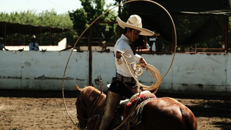 ‘Cowboy Carter’ Chic Spurs Western Fashion Renaissance