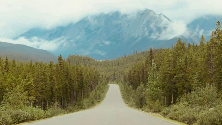 Billie Eilish’s The Road to Happier Than Ever Documentary Premieres on Apple TV+