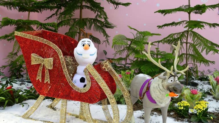 The Launch of Frozen (2013) – A Disney Phenomenon