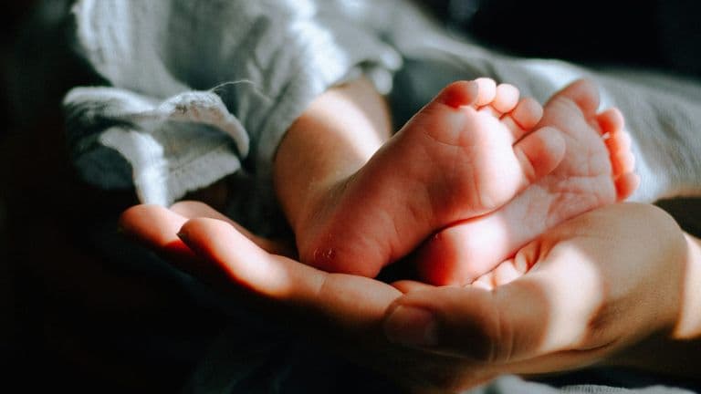 Claudia Oshry and Ben Soffer Welcome First Child, a Baby Boy