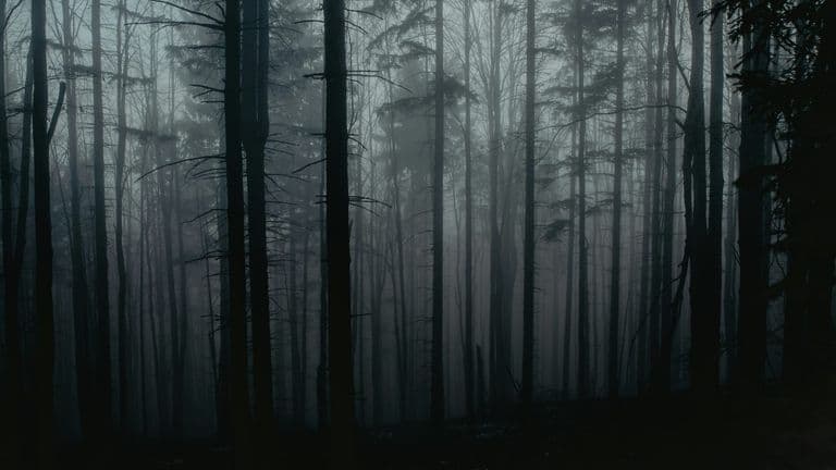 The Premiere of The Blair Witch Project – A Game-Changer in Horror Filmmaking