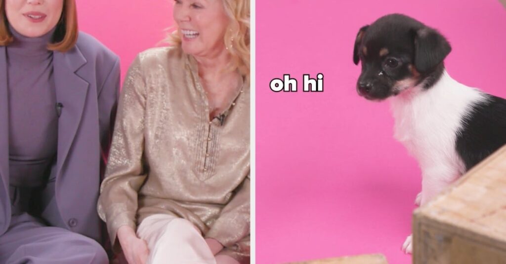 Puppy antics: the cast's hilarious moments on set