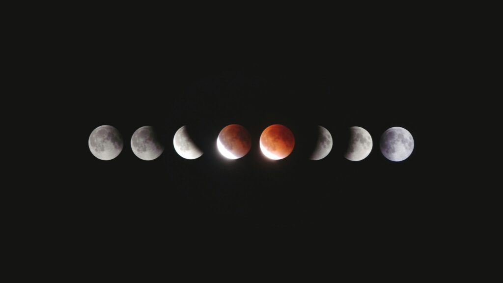 Celso oliveira oaivg4o7cpq unsplash